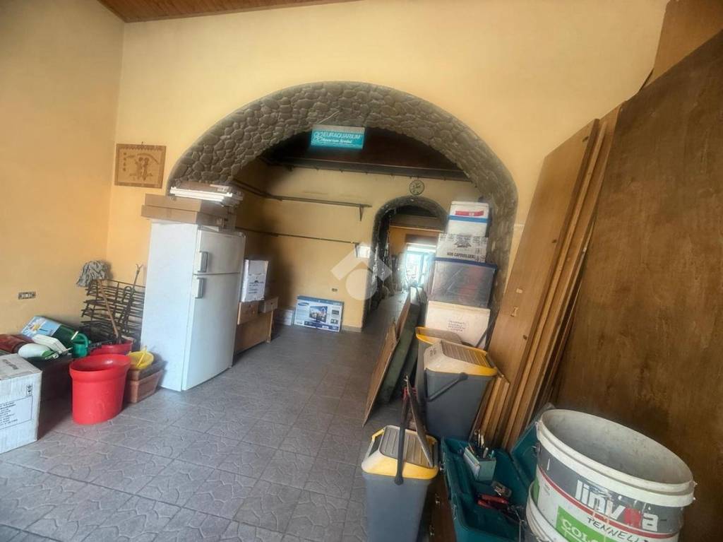 immagine annuncio 11 di 14