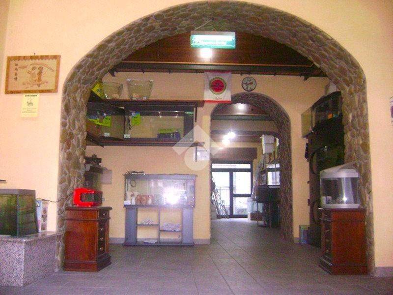 immagine annuncio 13 di 14