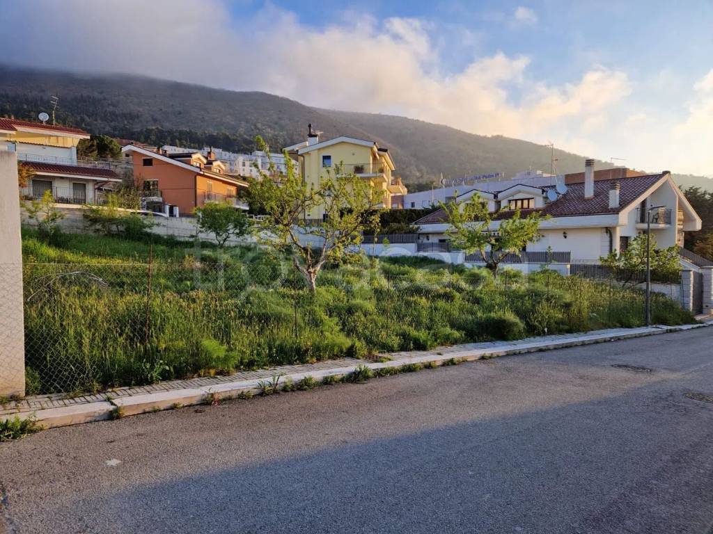 immagine annuncio 1 di 7