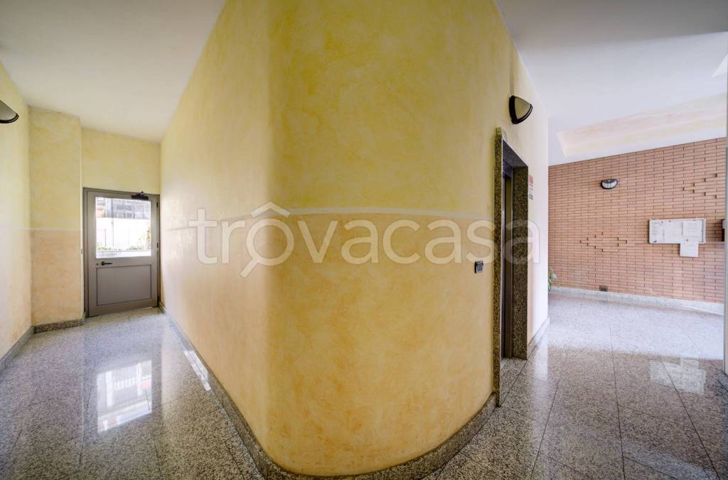 immagine annuncio 10 di 14