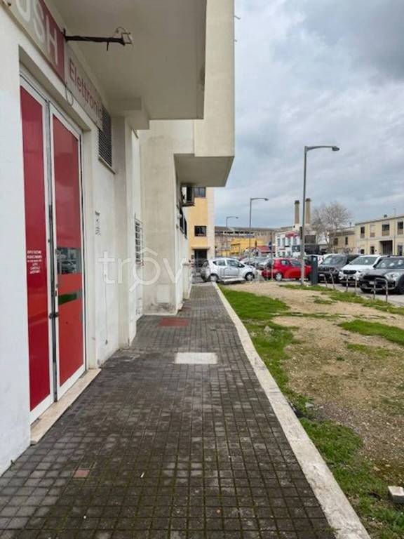 immagine annuncio 2 di 14