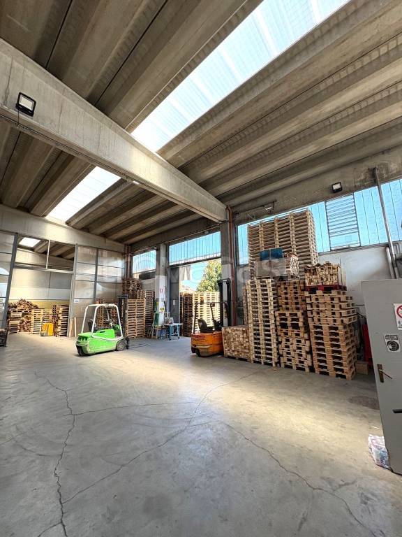 immagine annuncio 12 di 15