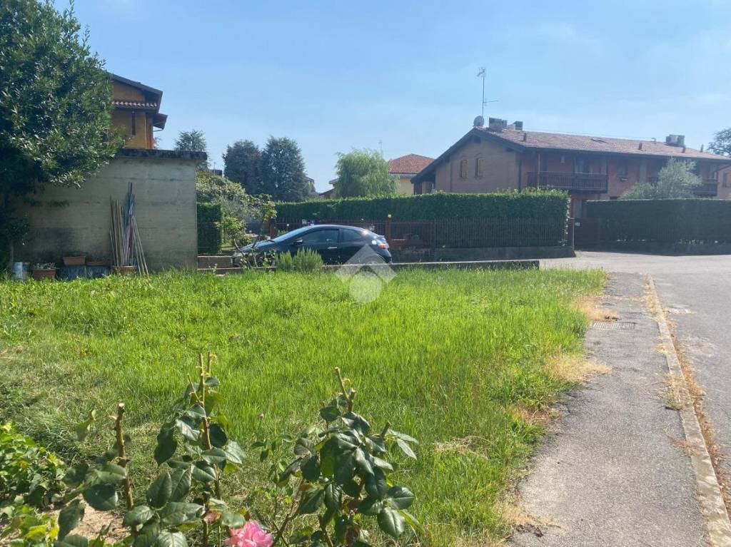 immagine annuncio 3 di 6