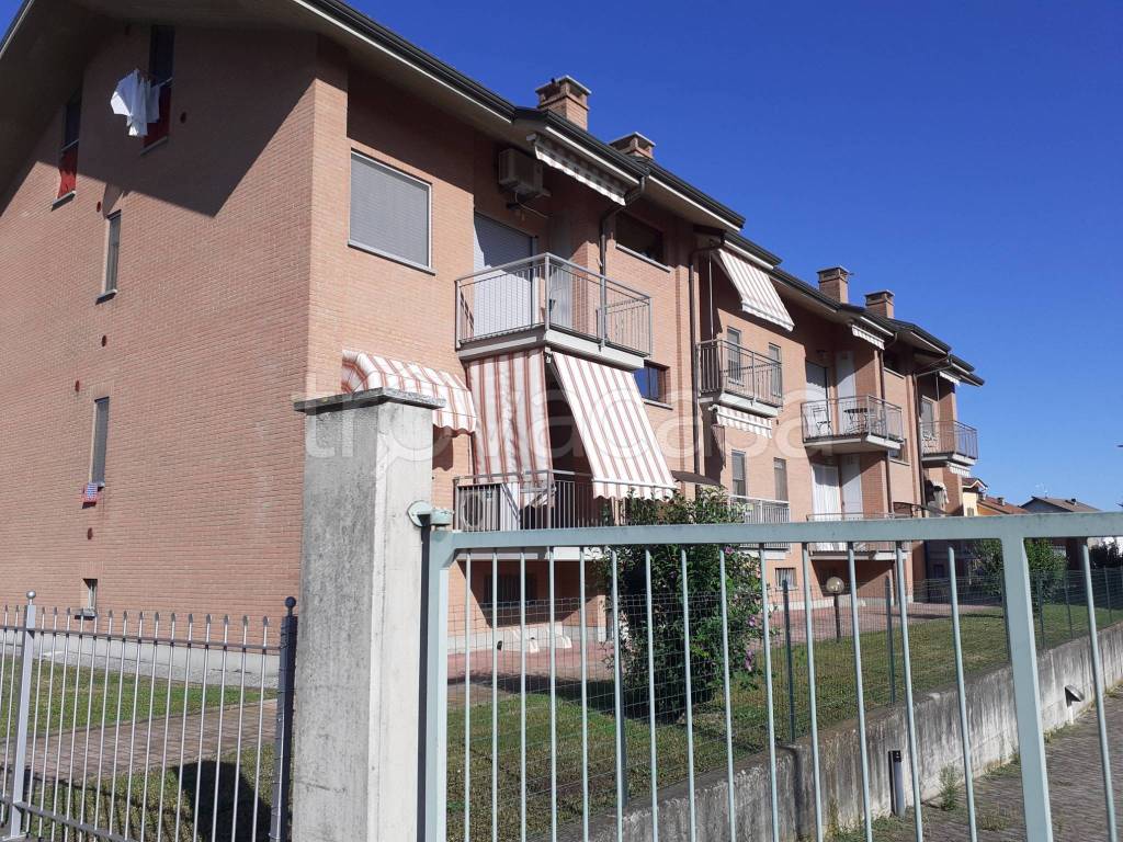 immagine annuncio 1 di 15