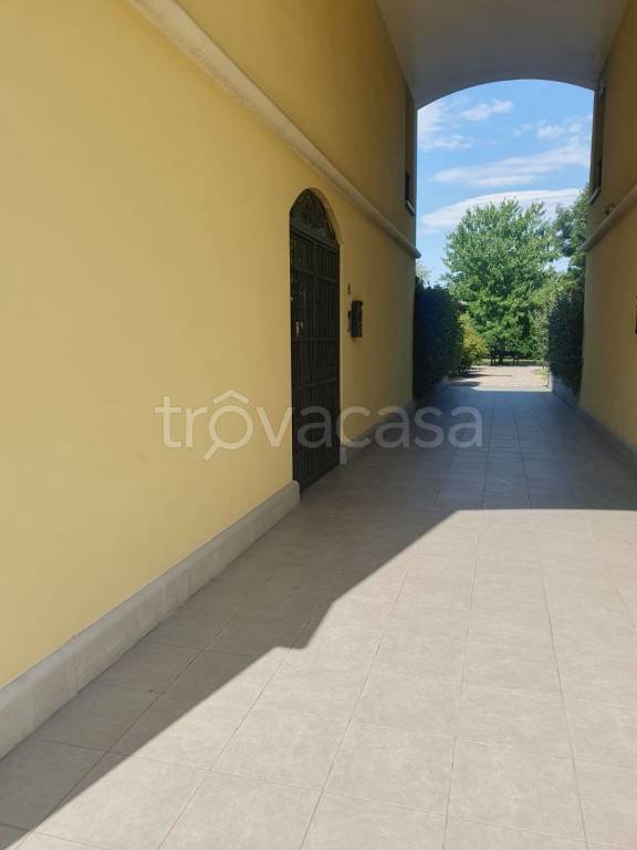 immagine annuncio 11 di 13