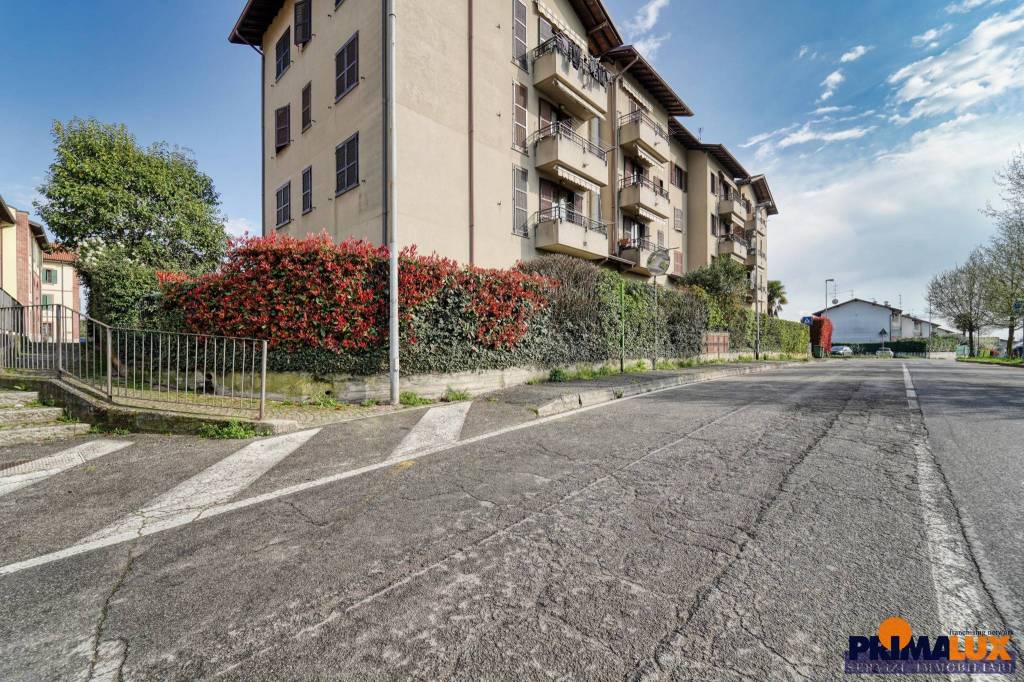 immagine annuncio 4 di 12