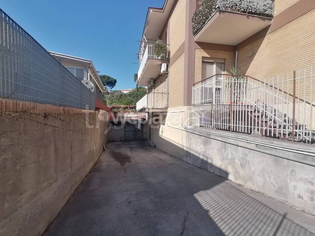 immagine annuncio 6 di 8