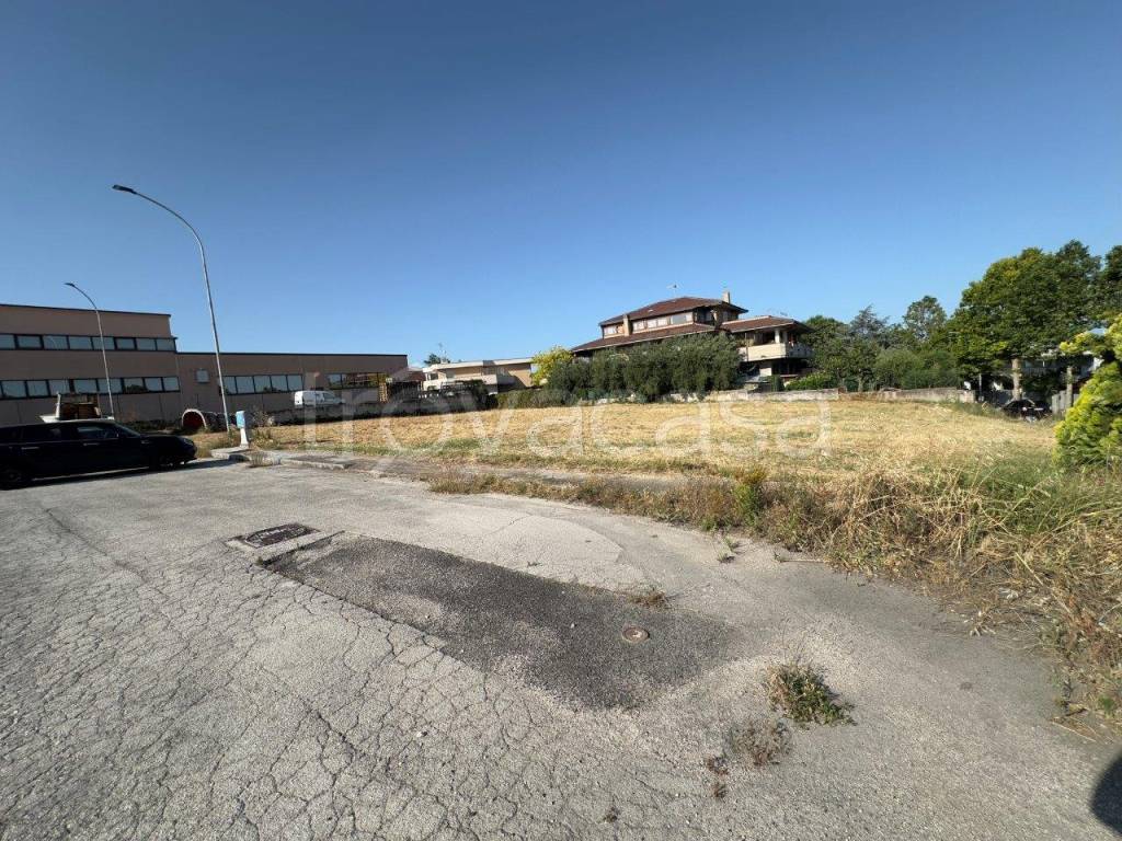 immagine annuncio 9 di 10