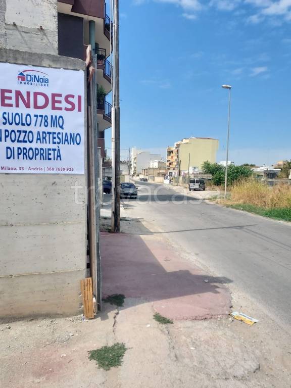immagine annuncio 2 di 6