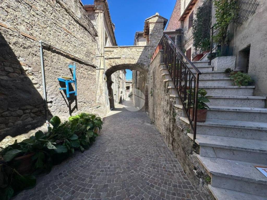 immagine annuncio 2 di 14