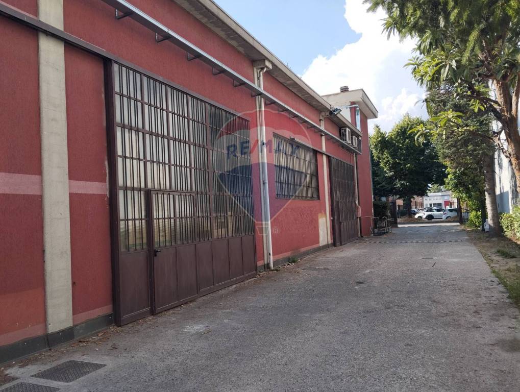 immagine annuncio 2 di 15