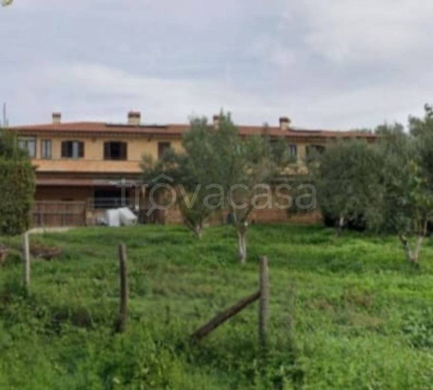 immagine annuncio 8 di 11