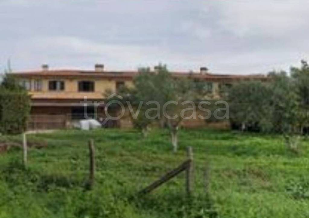 immagine annuncio 9 di 11