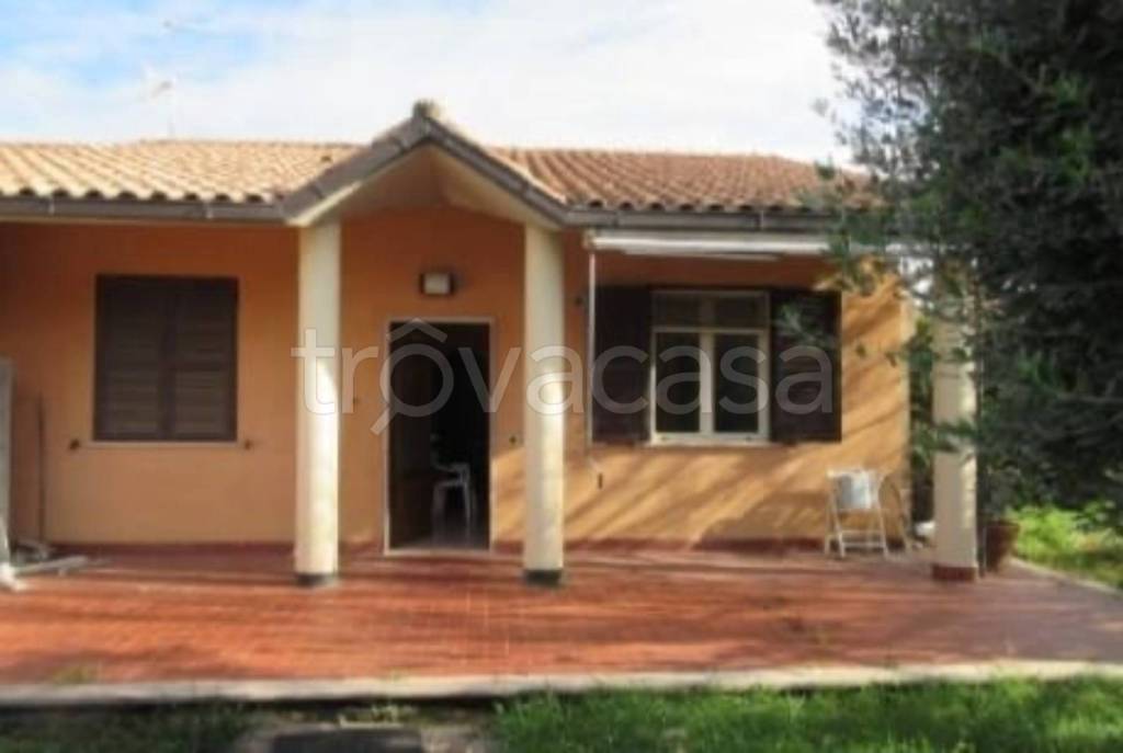 immagine annuncio 5 di 11