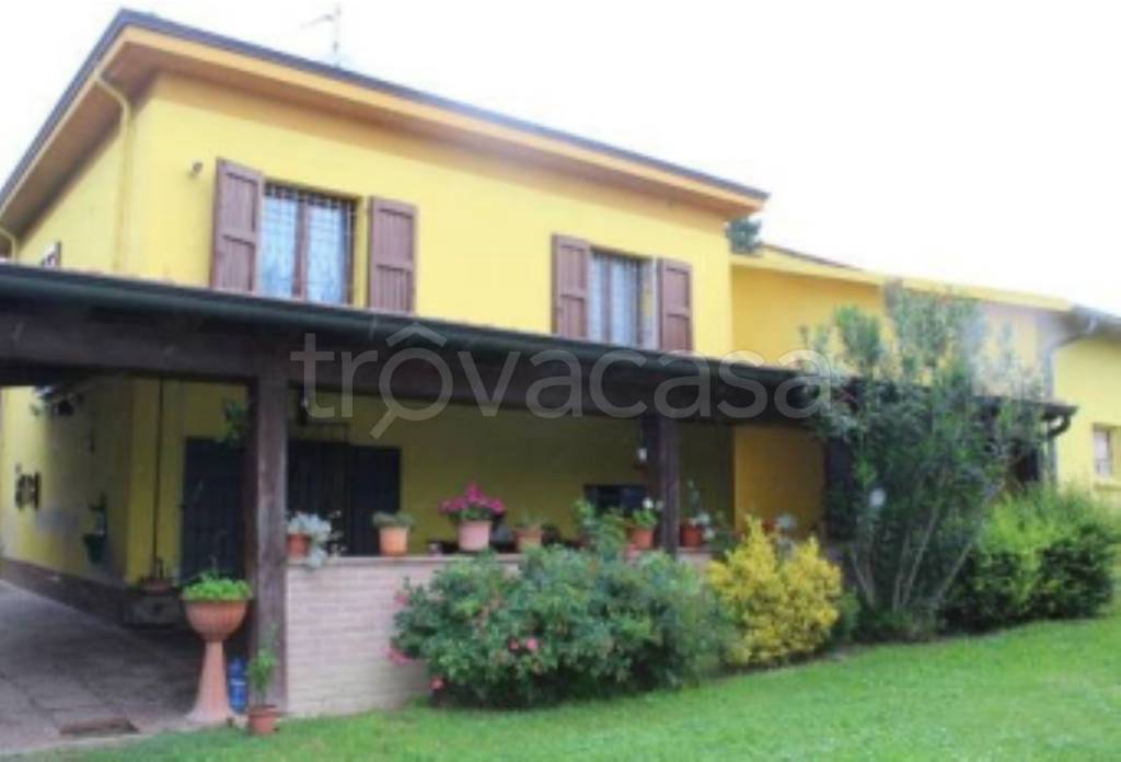 immagine annuncio 2 di 11