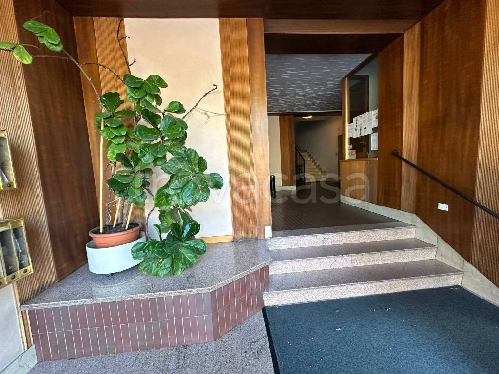 immagine annuncio 9 di 14