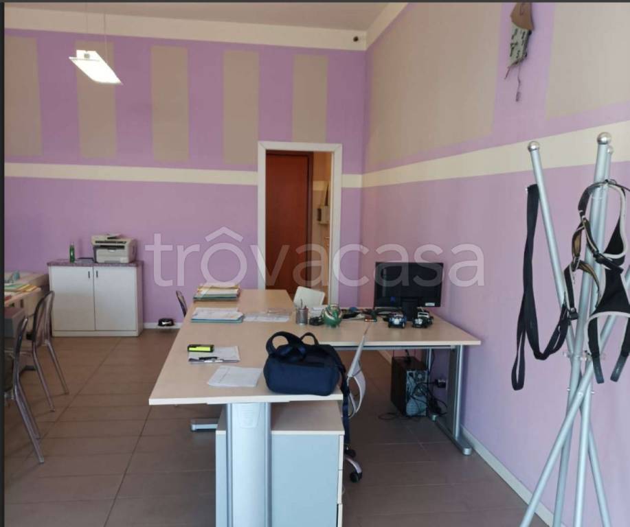 immagine annuncio 5 di 13