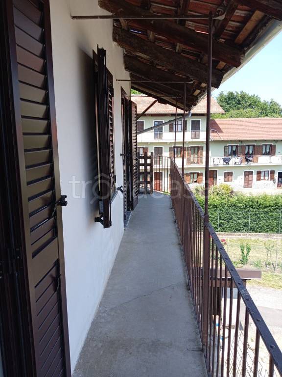 immagine annuncio 1 di 12