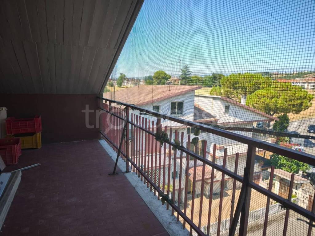 immagine annuncio 10 di 13