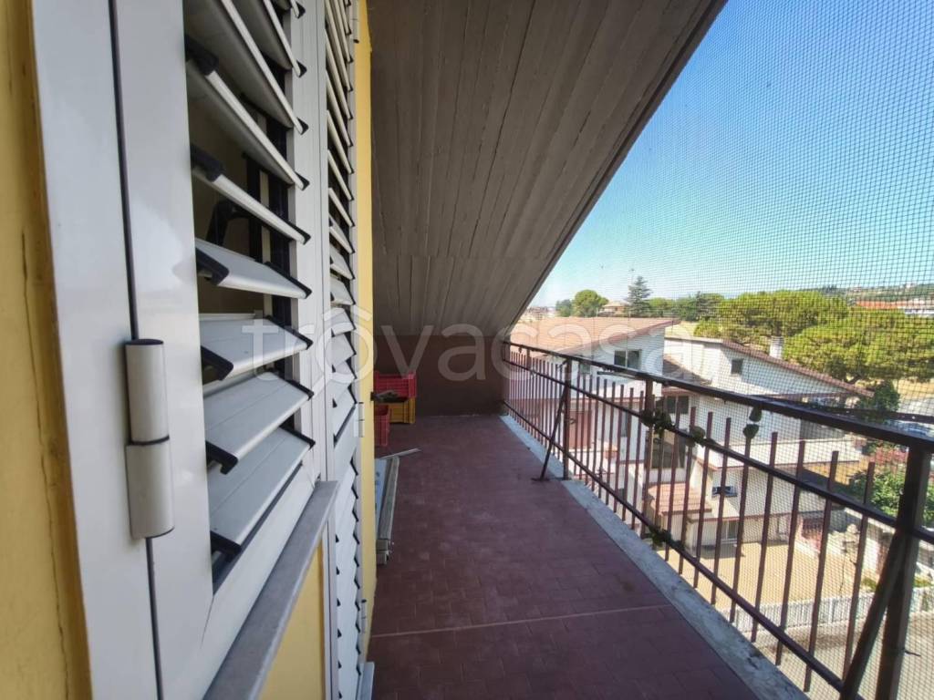 immagine annuncio 11 di 13