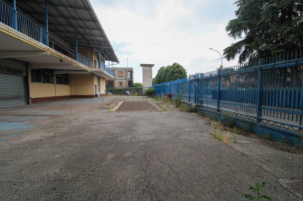 immagine annuncio 3 di 15