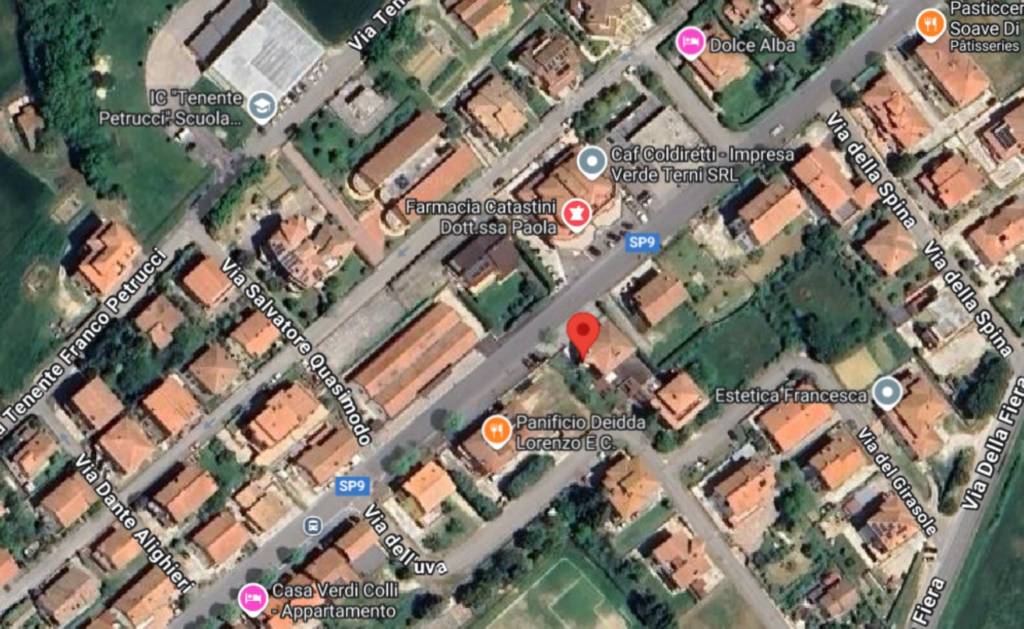 immagine annuncio 5 di 11