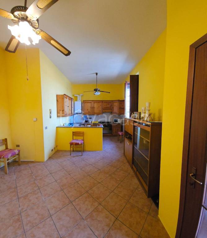 immagine annuncio 2 di 14