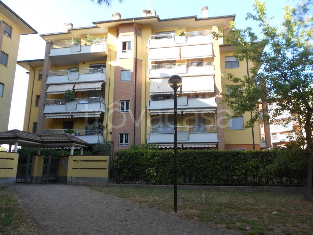 immagine annuncio 5 di 15