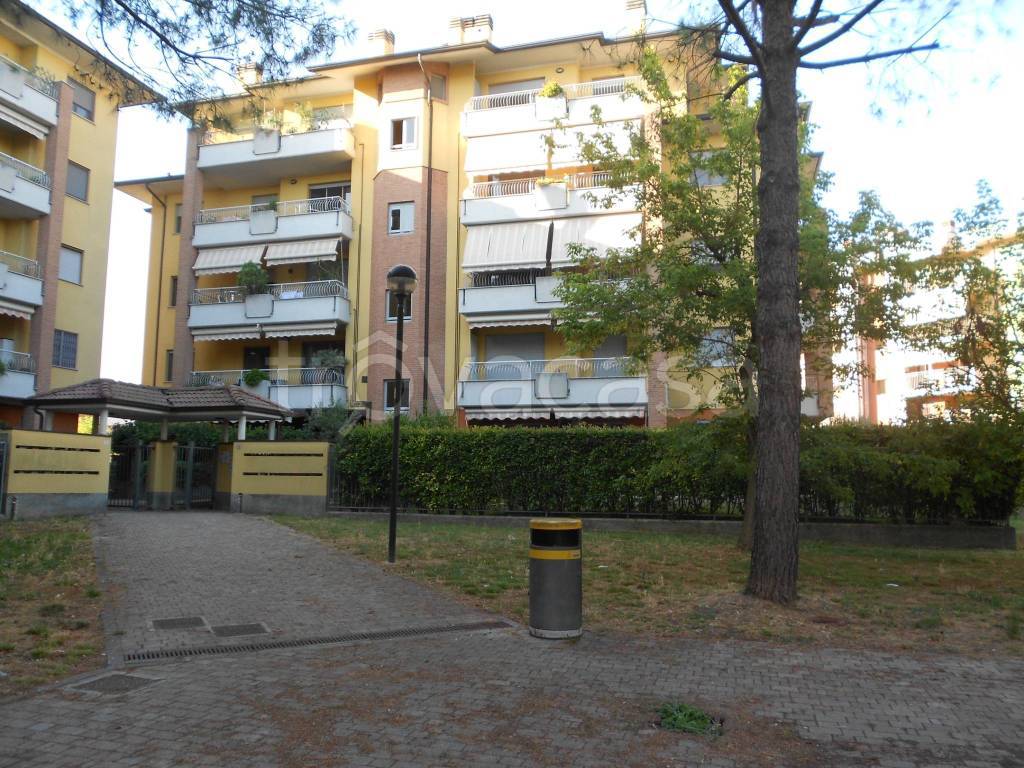 immagine annuncio 6 di 15
