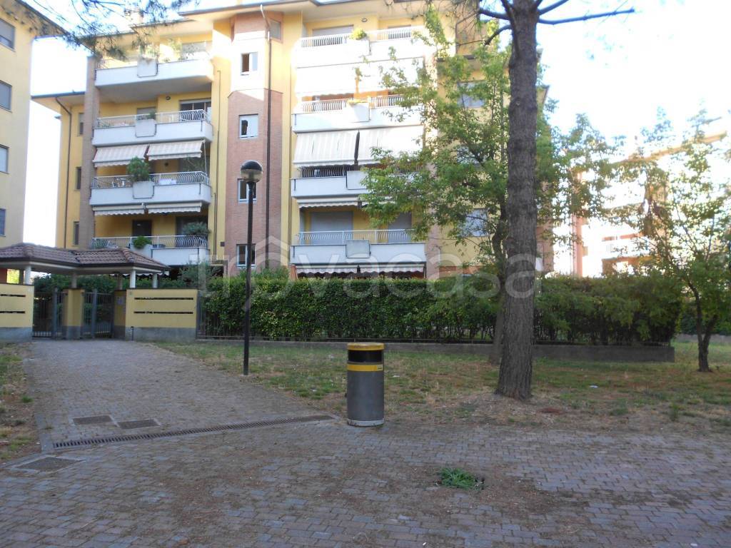 immagine annuncio 7 di 15