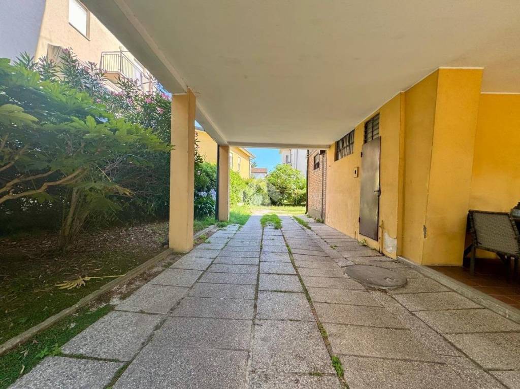 immagine annuncio 5 di 15