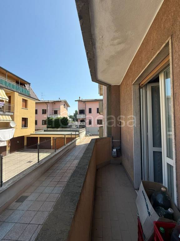 immagine annuncio 6 di 15
