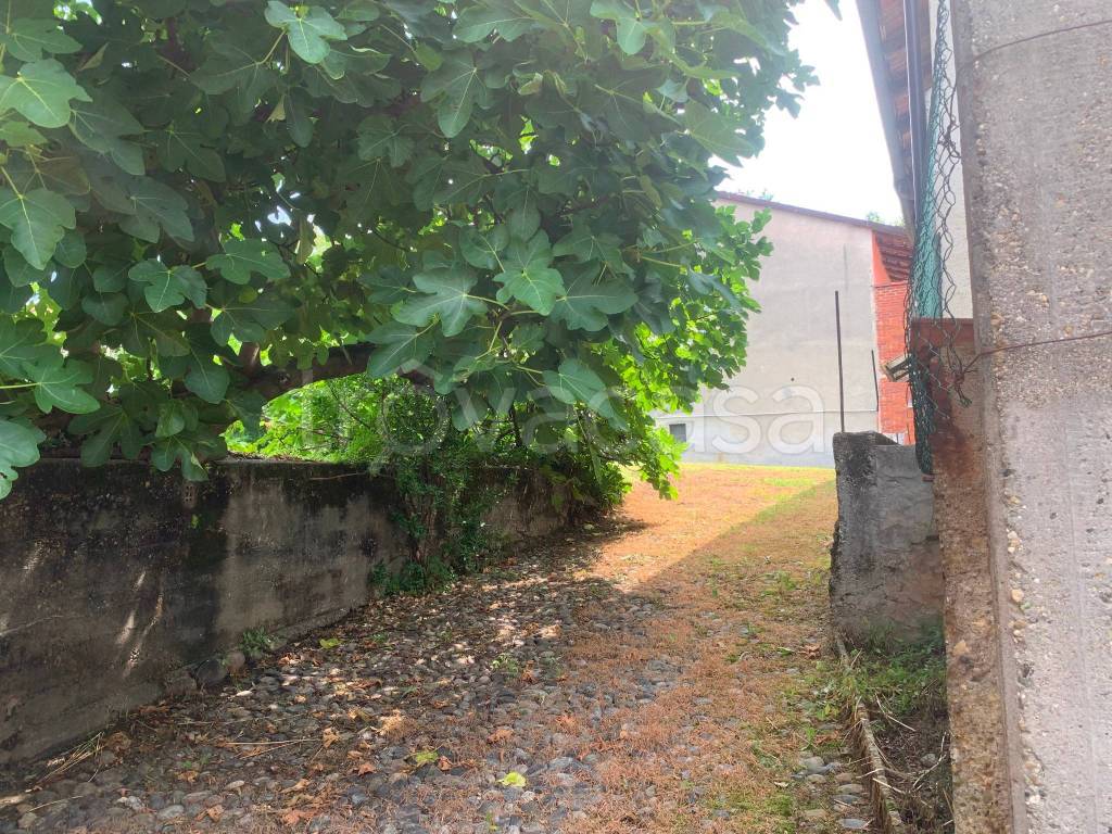 immagine annuncio 7 di 13