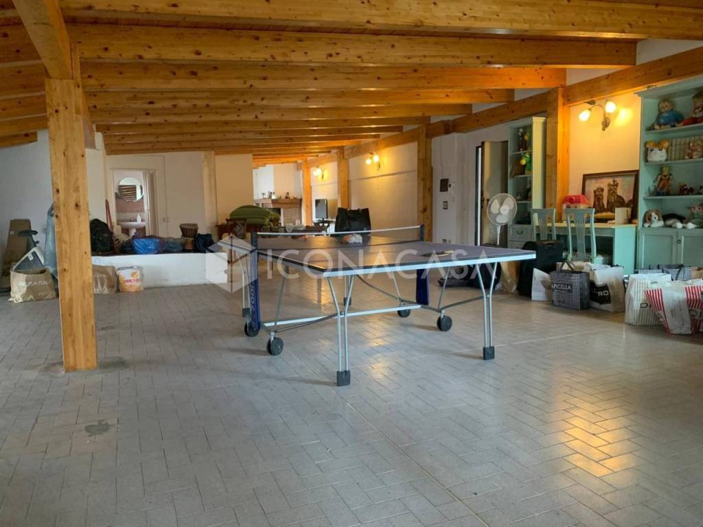 immagine annuncio 9 di 14