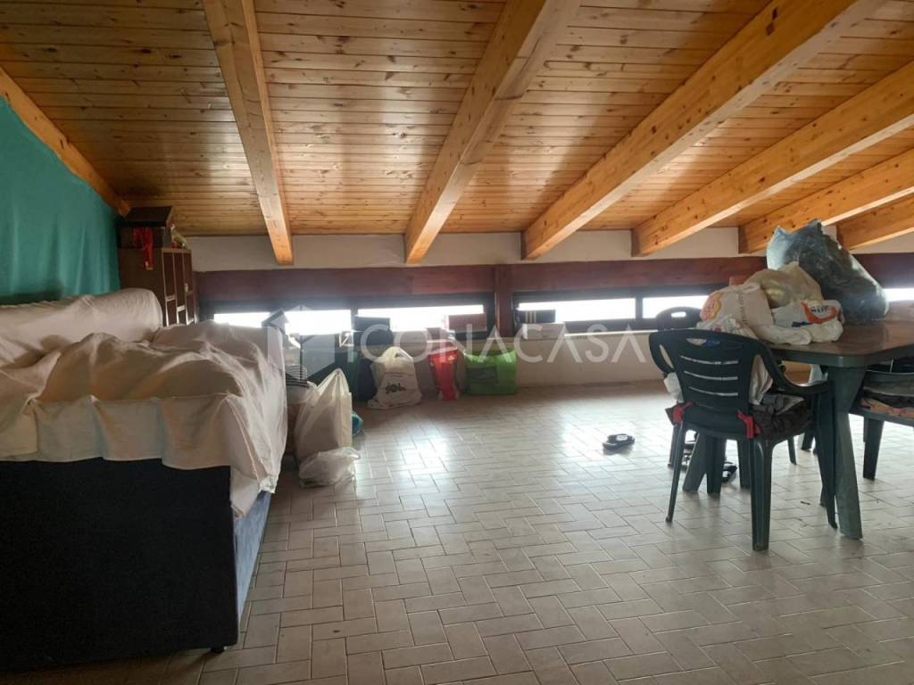 immagine annuncio 11 di 14