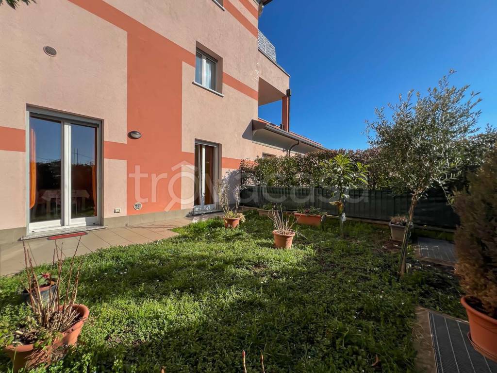 immagine annuncio 6 di 15