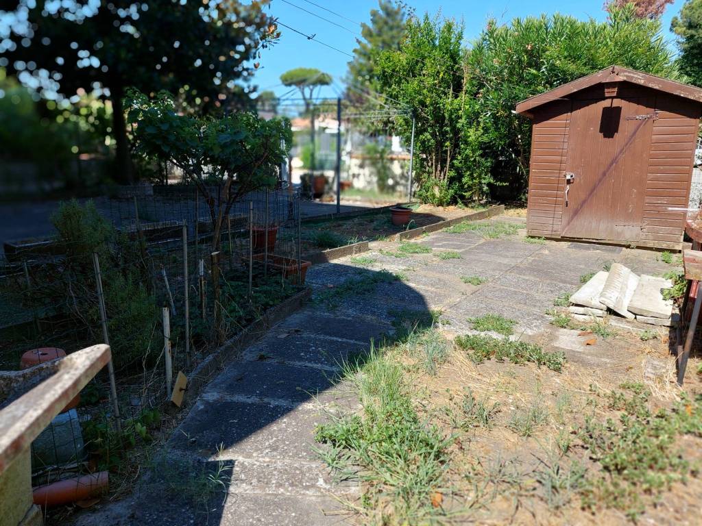 immagine annuncio 1 di 11