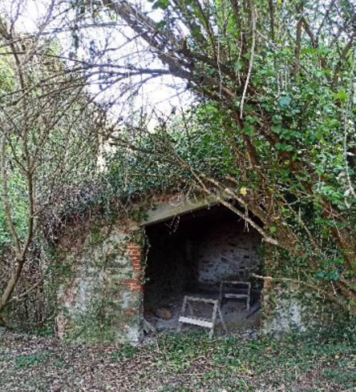 immagine annuncio 9 di 14