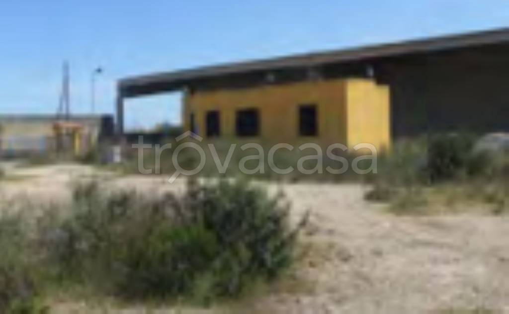immagine annuncio 3 di 11