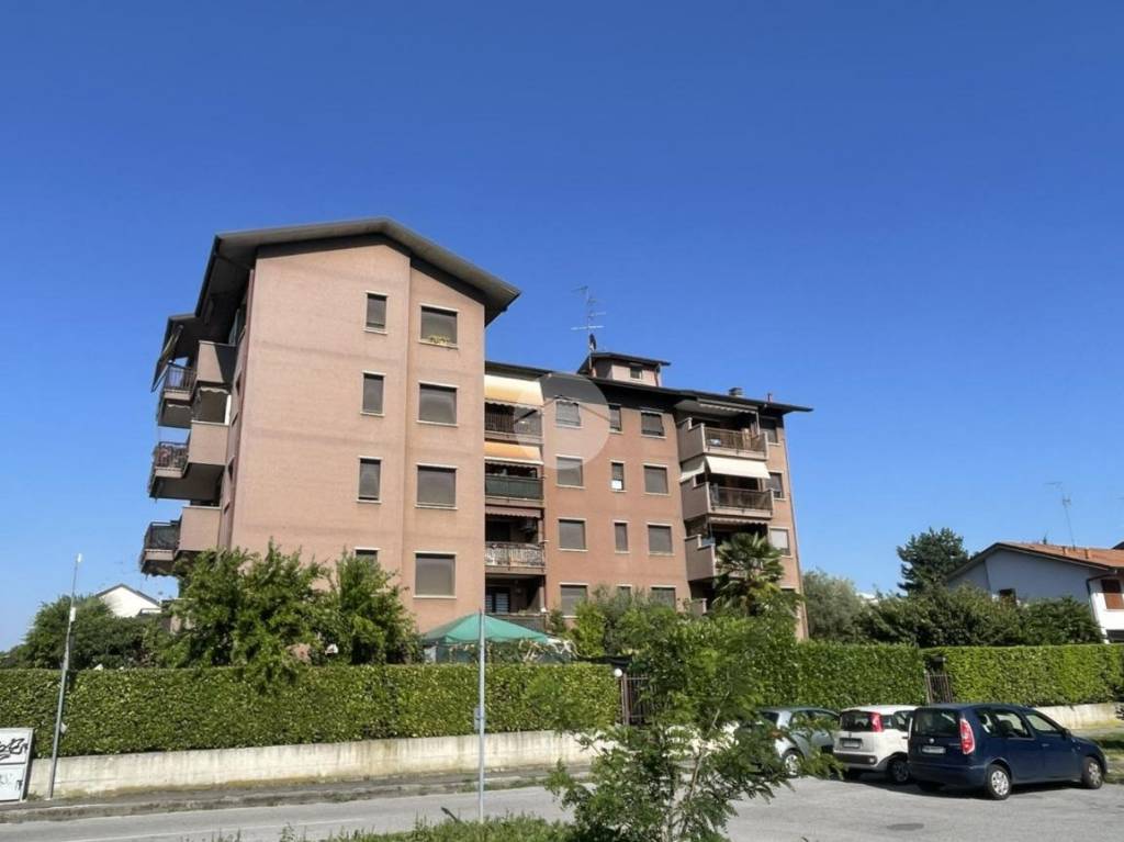 immagine annuncio 3 di 13