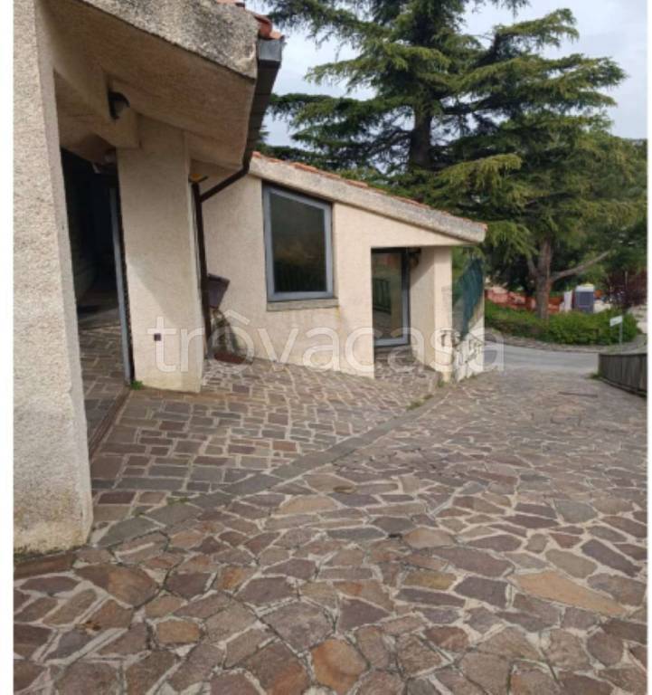 immagine annuncio 7 di 14