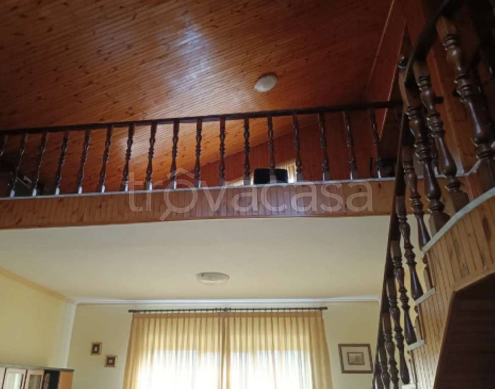 immagine annuncio 12 di 14