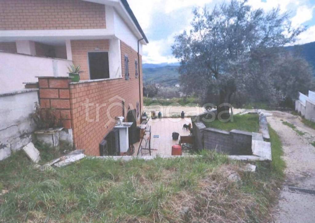 immagine annuncio 9 di 11