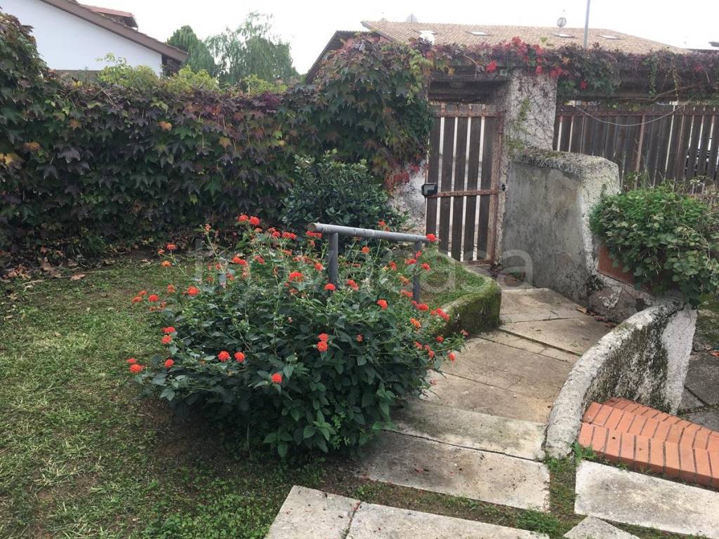 immagine annuncio 7 di 15