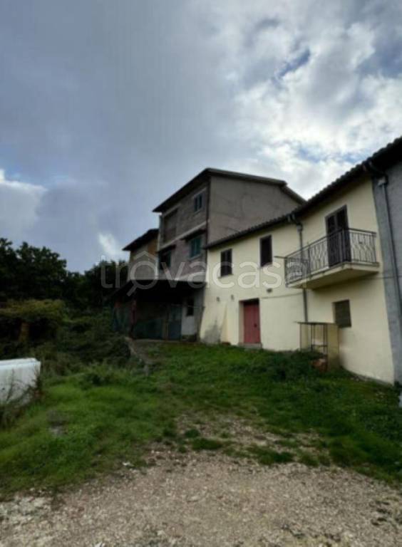 immagine annuncio 4 di 11