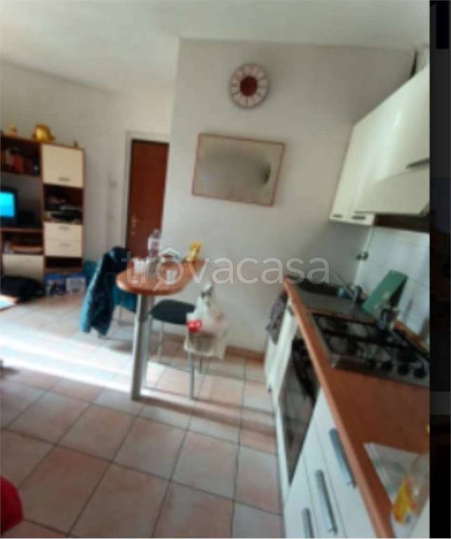 immagine annuncio 2 di 12