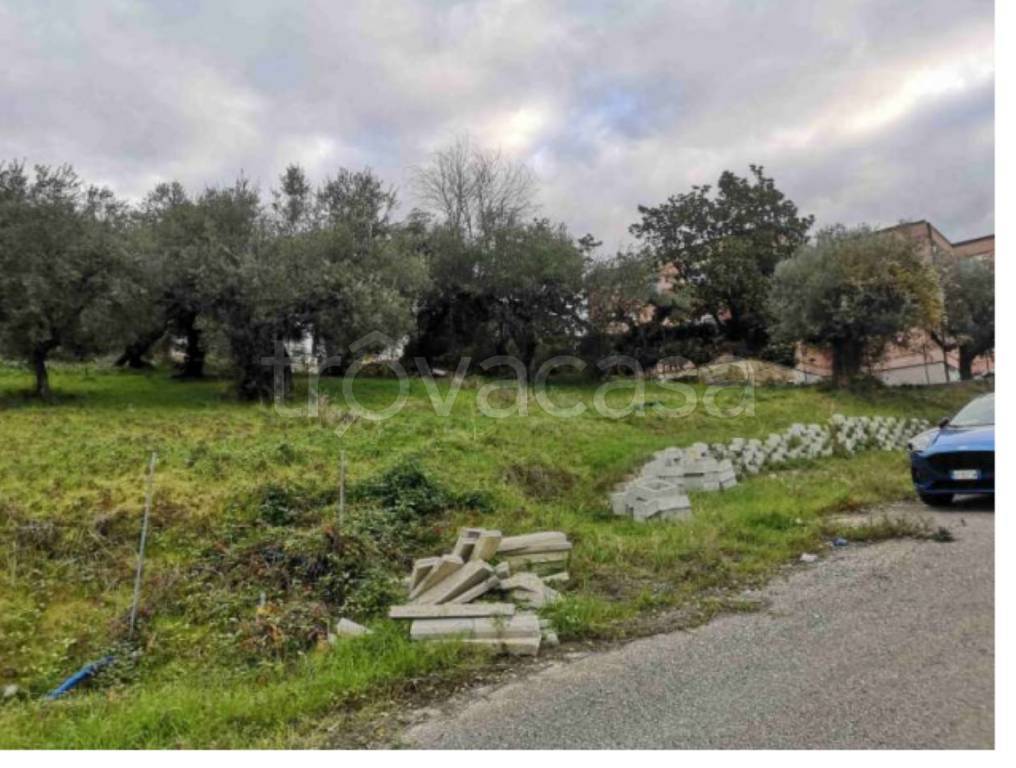 immagine annuncio 3 di 12