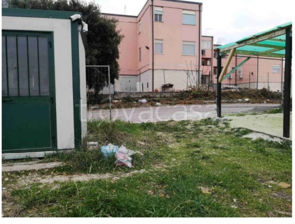 immagine annuncio 7 di 12