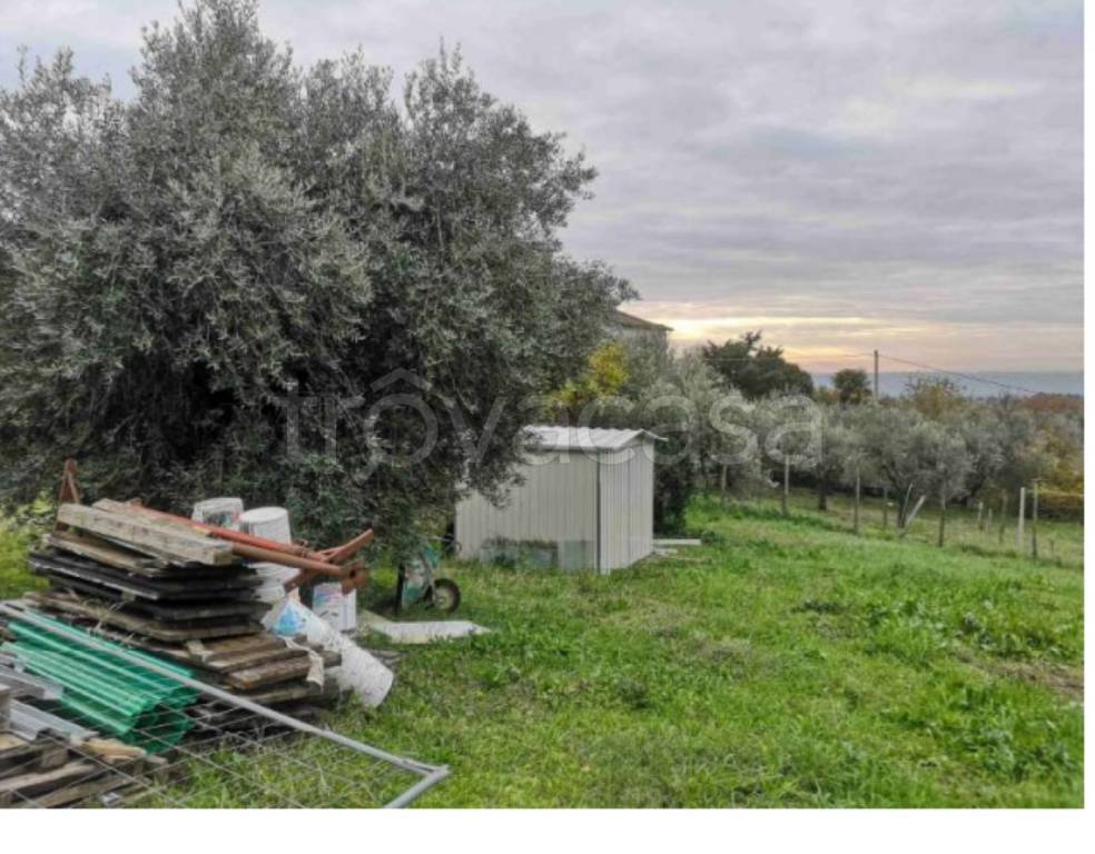 immagine annuncio 9 di 12