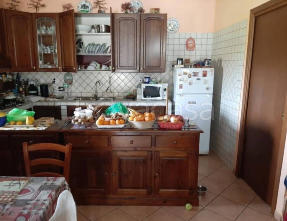 immagine annuncio 6 di 11